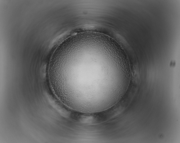 X0000114170454200910081526