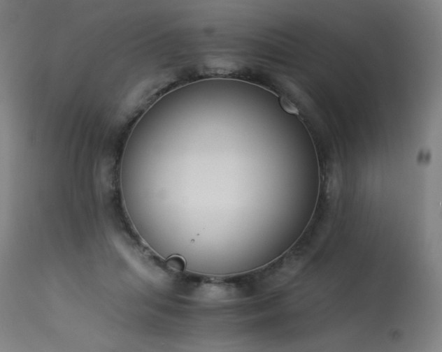 X0000114170455200910081526