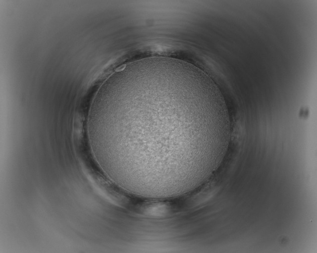 X0000114170456200910081526
