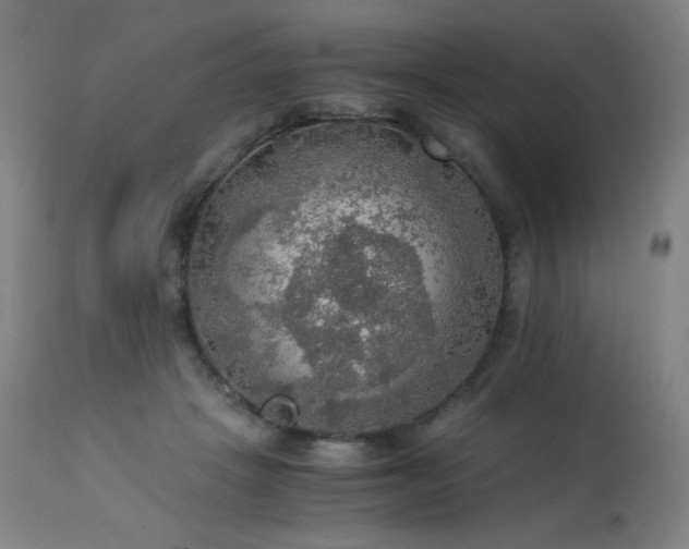 X0000114170457200910081526