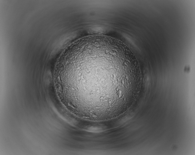 X0000114170459200910081526