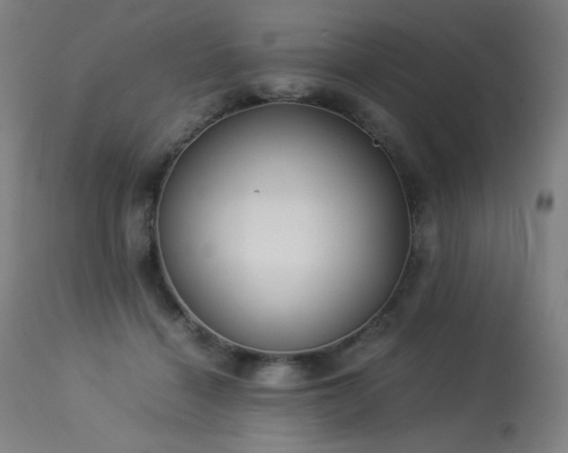 X0000114170460200910081526