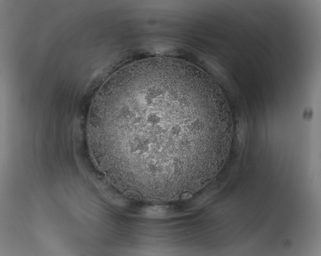 X0000114170461200910081526