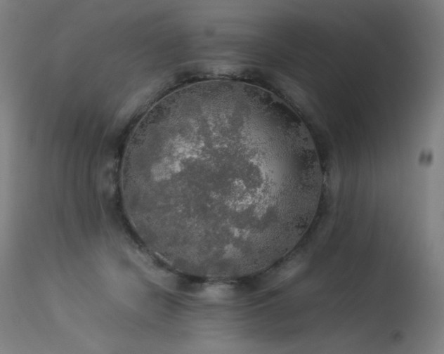X0000114170462200910081526