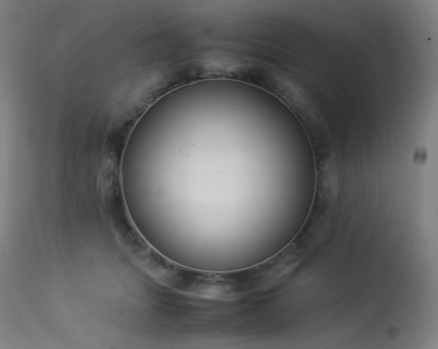 X0000114170463200910081526