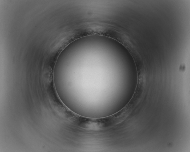 X0000114170464200910081526