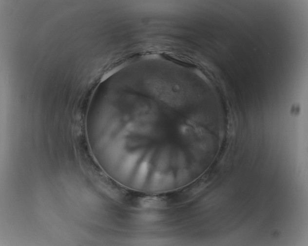 X0000114170465200910081527