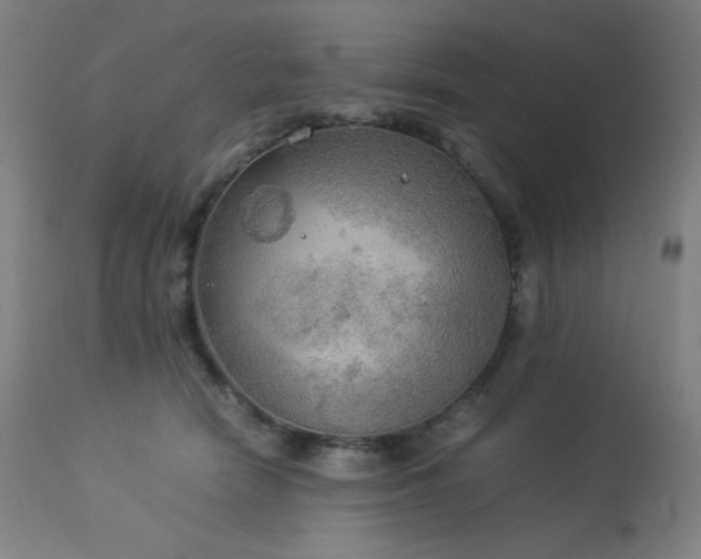 X0000114170466200910081527