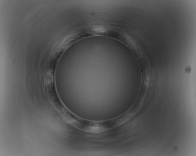X0000114170467200910081527