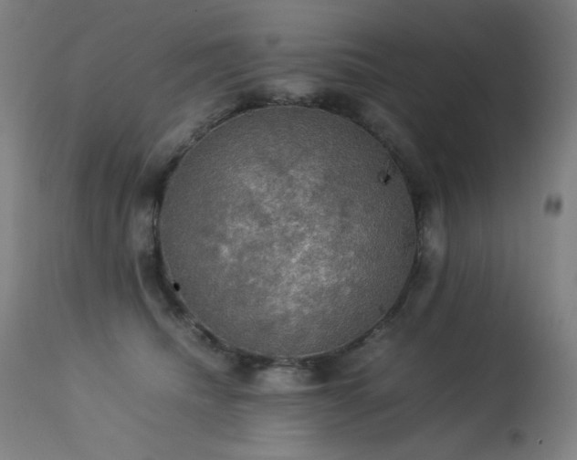 X0000114170468200910081527