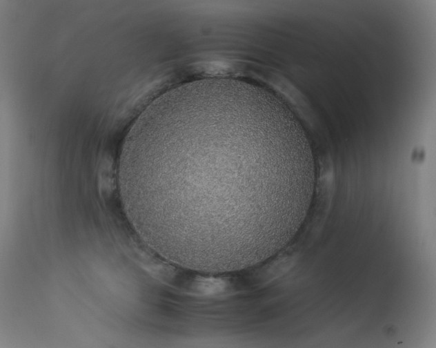 X0000114170469200910081527