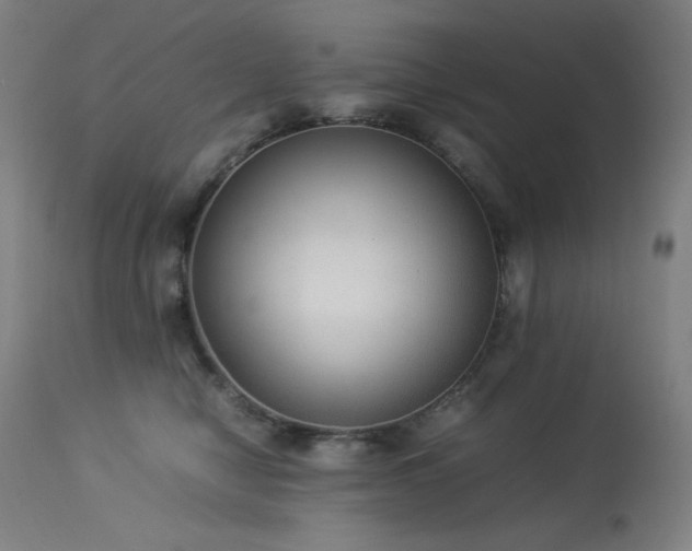 X0000114170470200910081527