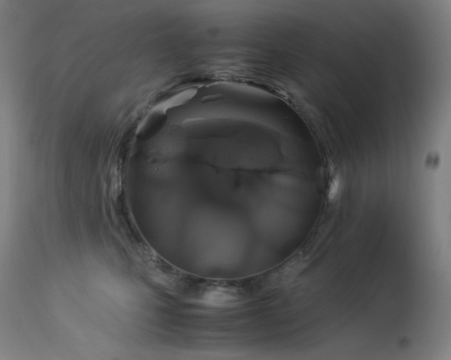 X0000114170471200910081527