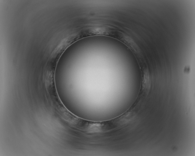 X0000114170473200910081527