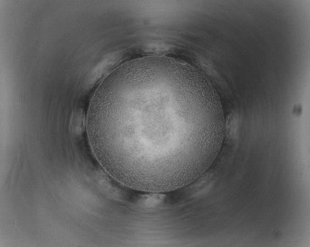 X0000114170474200910081527