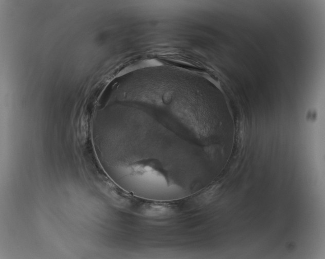 X0000114170475200910081527