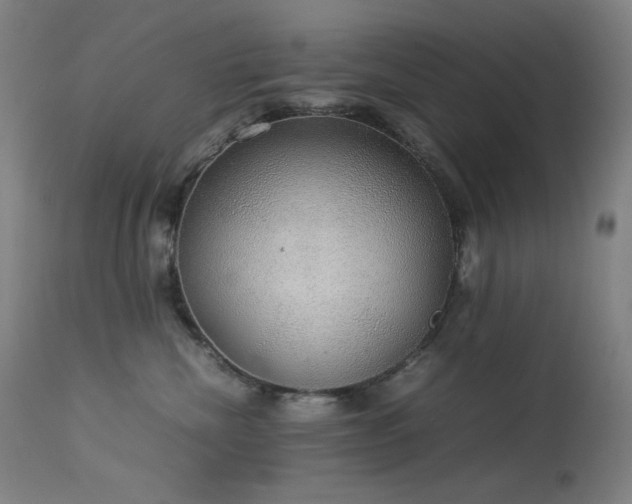 X0000114170476200910081527