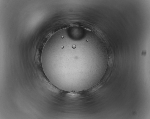 X0000114170477200910081527