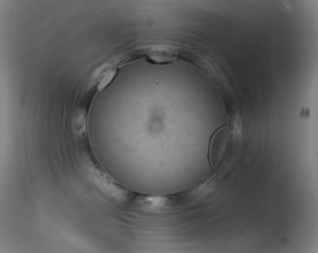 X0000114170478200910081527