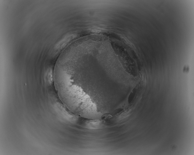 X0000114170479200910081527