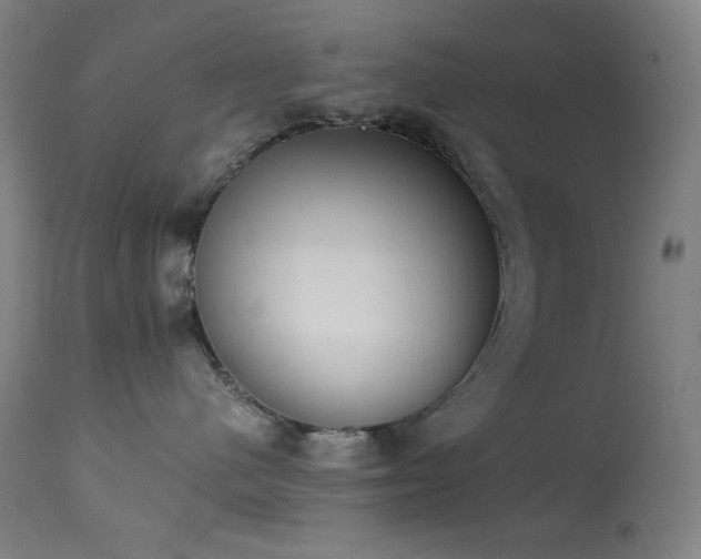 X0000114170480200910081527