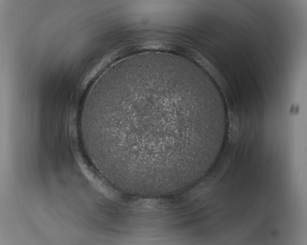 X0000114170482200910081526