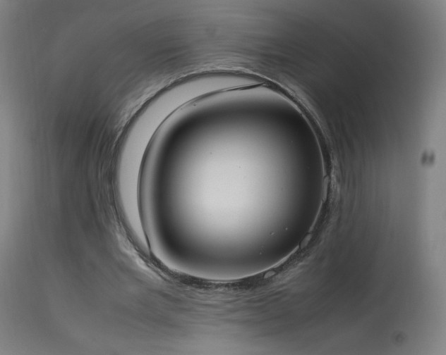 X0000114170485200910081526