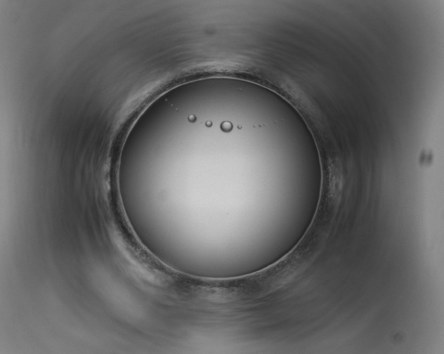 X0000114170486200910081526