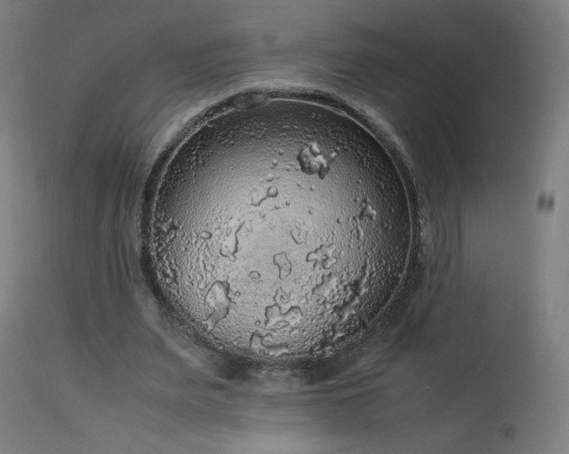 X0000114170487200910081526