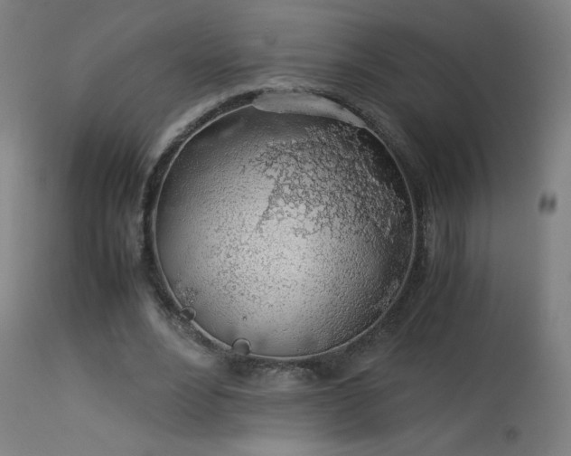 X0000114170488200910081526