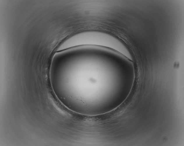 X0000114170489200910081526