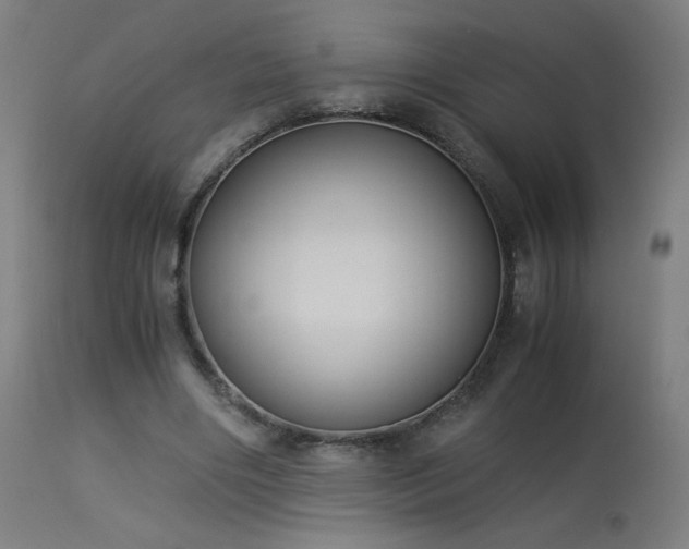 X0000114170490200910081526