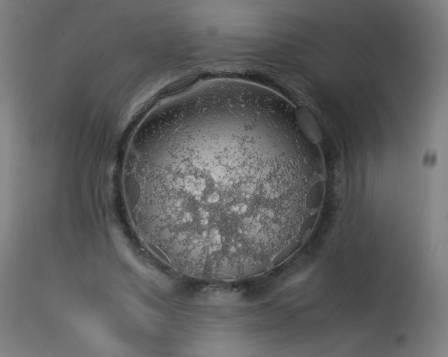 X0000114170491200910081526