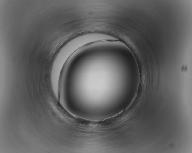 X0000114170493200910081526