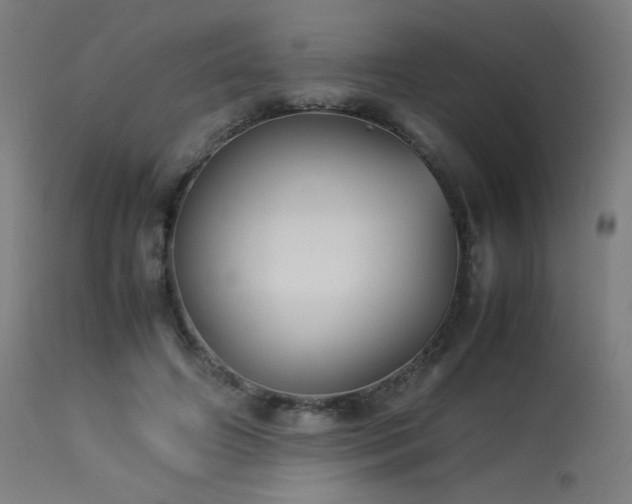 X0000114170498200910081526