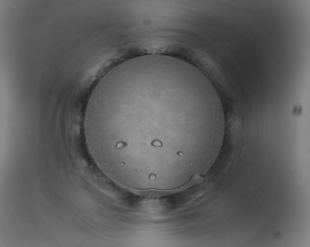 X0000114170499200910081526