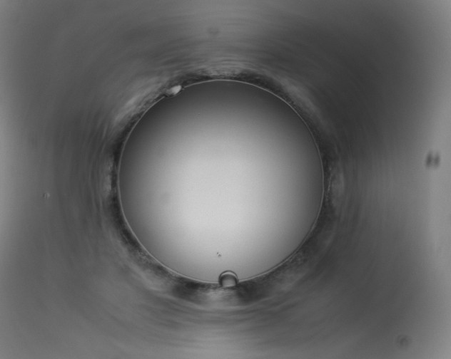 X0000114170501200910081526