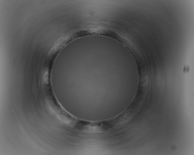 X0000114170502200910081526