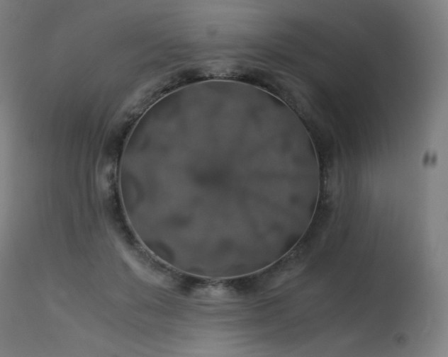 X0000114170503200910081526