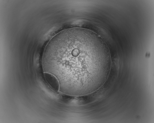 X0000114170504200910081526