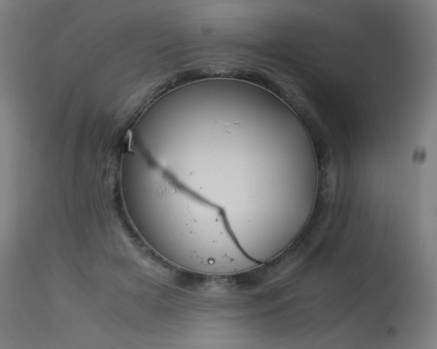 X0000114170505200910081526