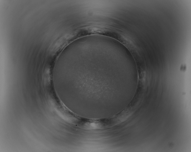 X0000114170506200910081526