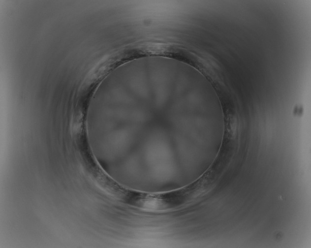 X0000114170507200910081526