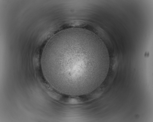 X0000114170510200910081526