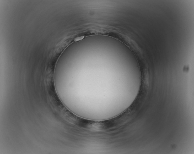 X0000114170513200910081526