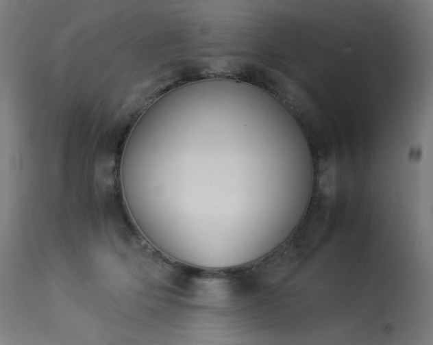 X0000114170514200910081526