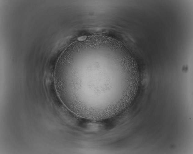 X0000114170515200910081526