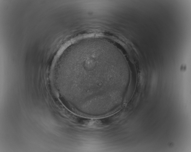 X0000114170517200910081526