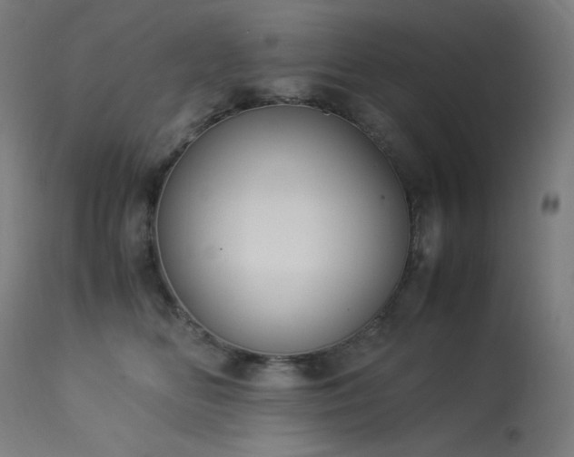 X0000114170518200910081526