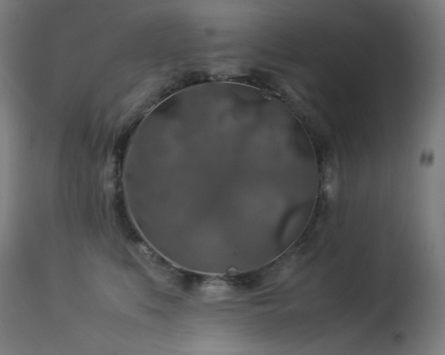 X0000114170519200910081526